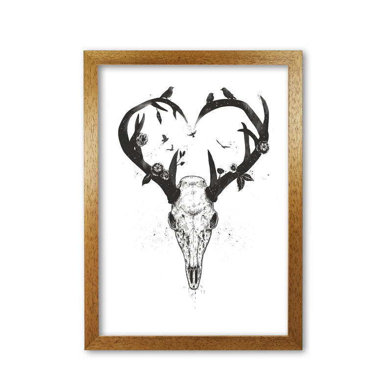 Never-ending Love Deer Skull B&W Animal Art Print by Balaz Solti Oak Grain