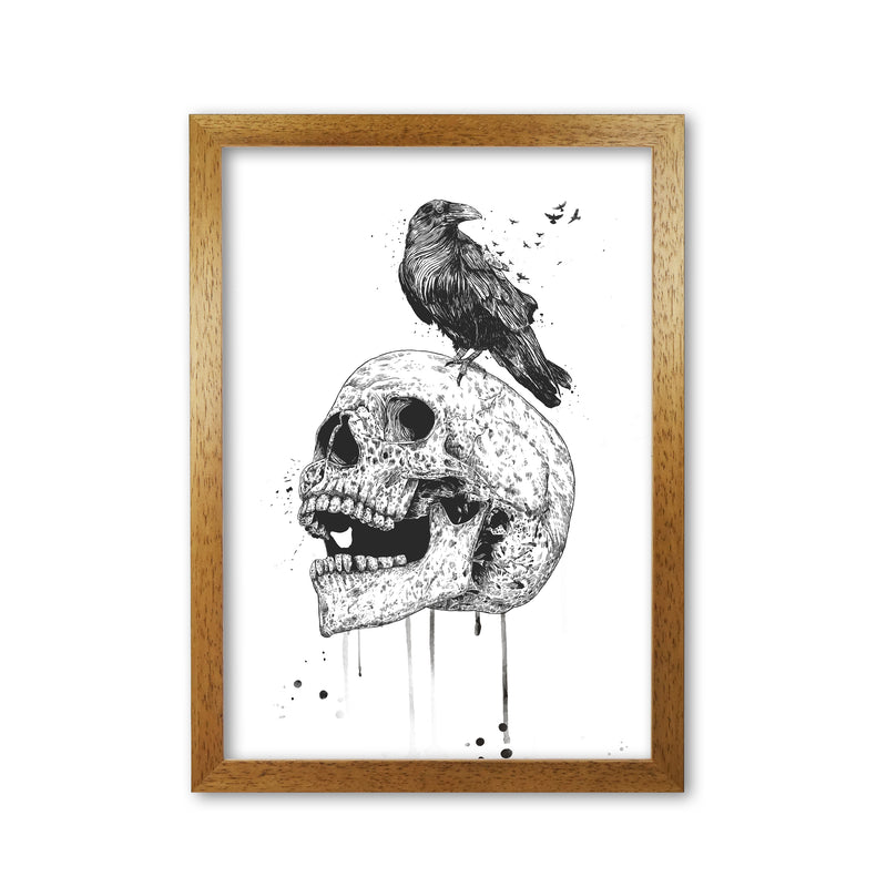 Skull & Raven B&W Animal Art Print by Balaz Solti Oak Grain