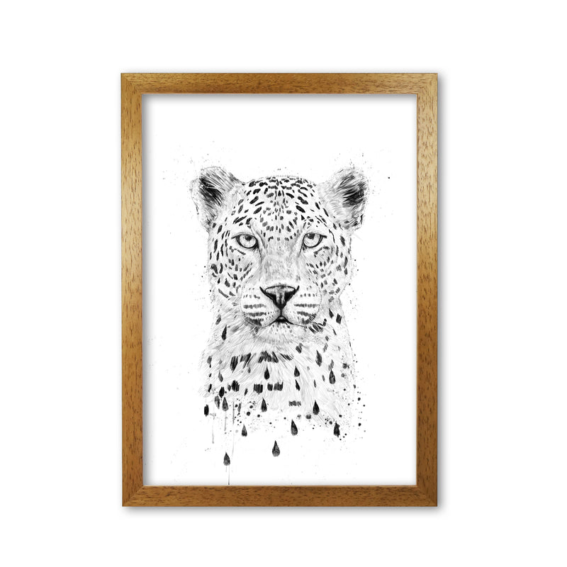 Raining Again Cheetah Animal Art Print by Balaz Solti Oak Grain