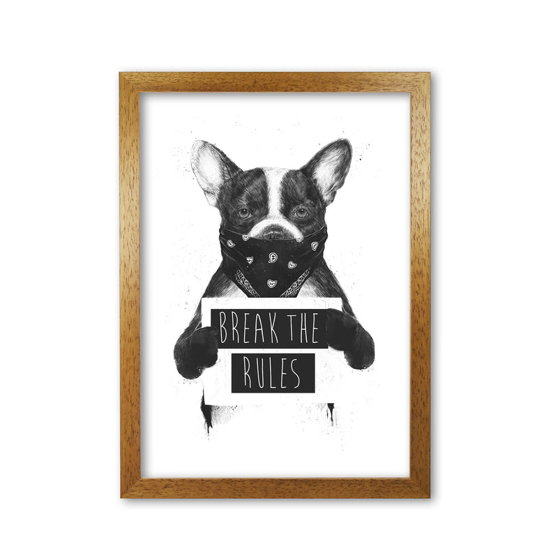 Rebel Bulldog Animal Art Print by Balaz Solti Oak Grain