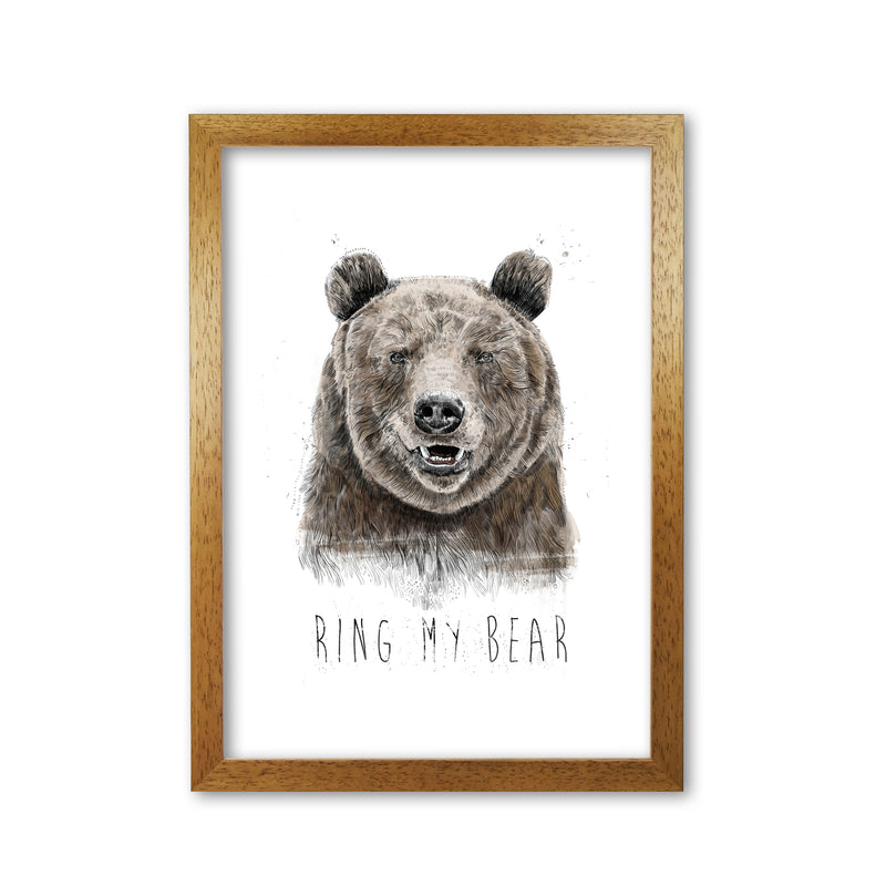 Ring My Bear Animal Art Print by Balaz Solti Oak Grain