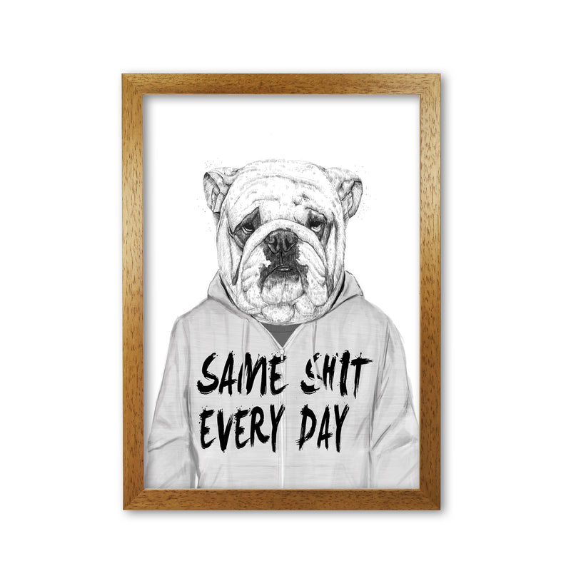 Same Sh*t Everyday Bulldog Animal Art Print by Balaz Solti Oak Grain