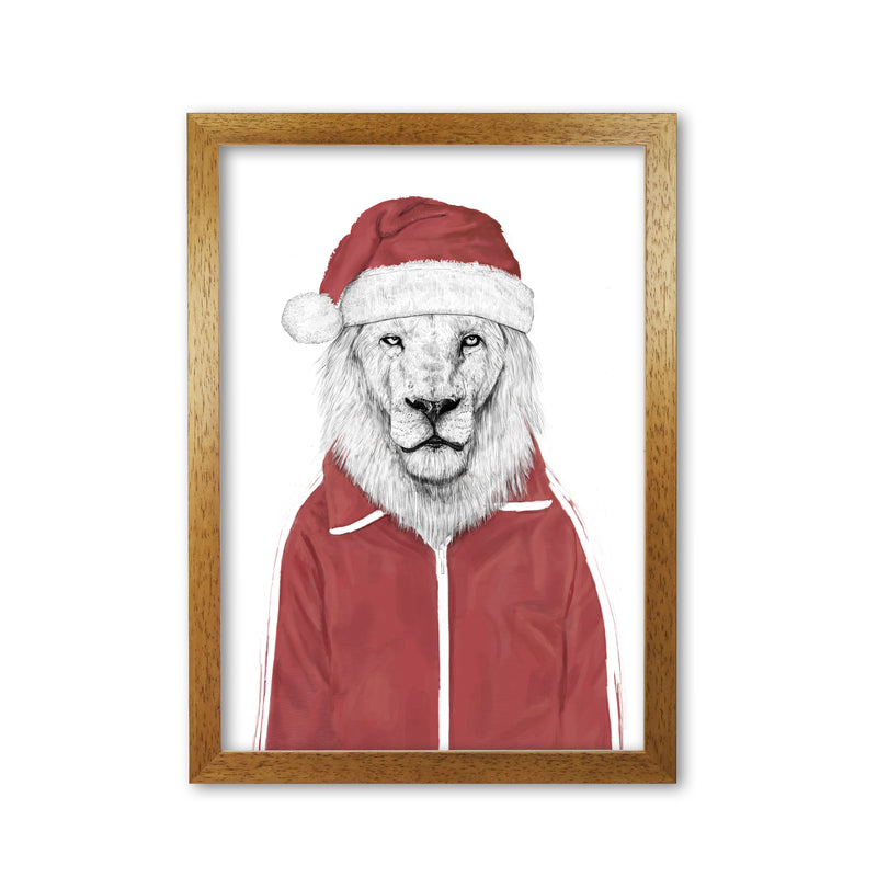 Santa Lion Animal Art Print by Balaz Solti Oak Grain