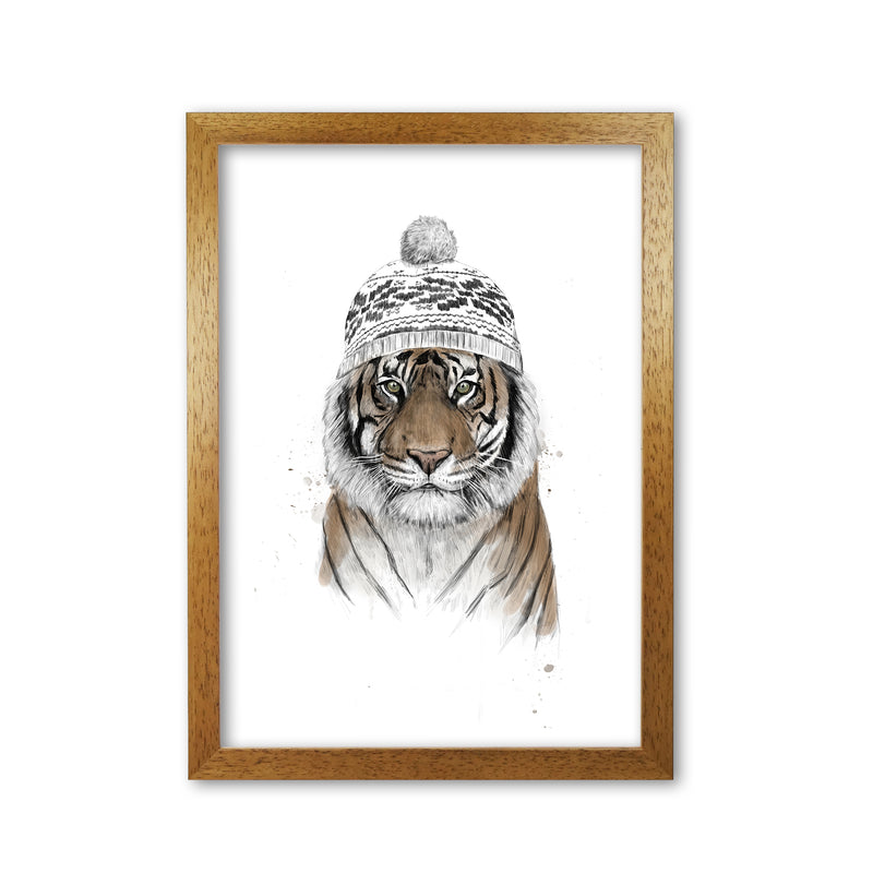 Siberian Tiger Animal Art Print by Balaz Solti Oak Grain