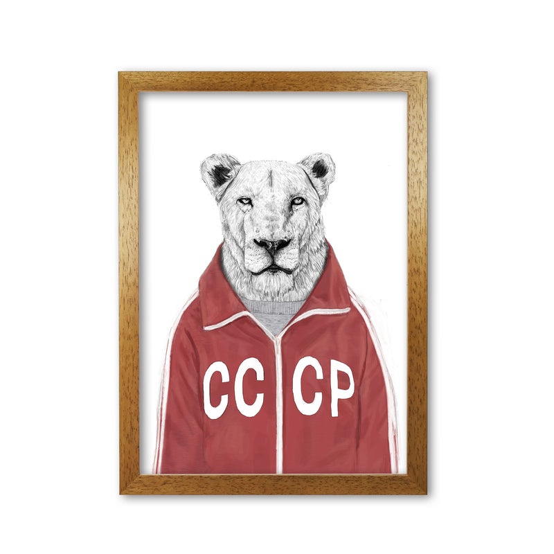 Soviet Lion Animal Art Print by Balaz Solti Oak Grain