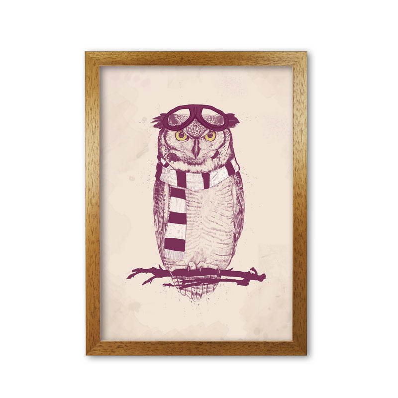 The Aviator Owl Animal Art Print by Balaz Solti Oak Grain