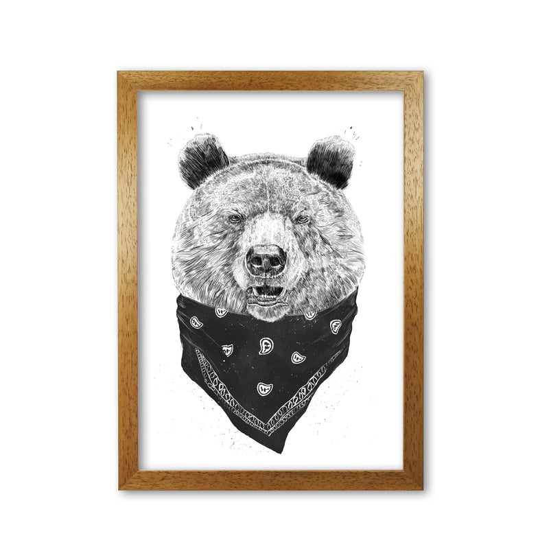 Wild Bear Animal Art Print by Balaz Solti Oak Grain