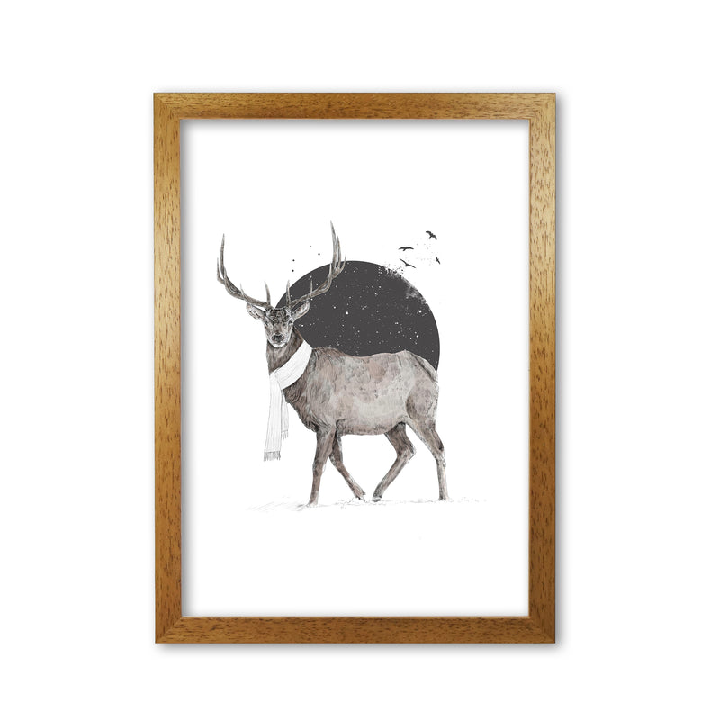 Winter Is All Around Stag Colour Animal Art Print by Balaz Solti Oak Grain