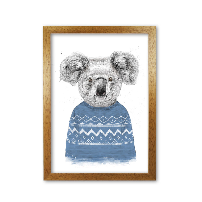 Winter Koala Blue Animal Art Print by Balaz Solti Oak Grain
