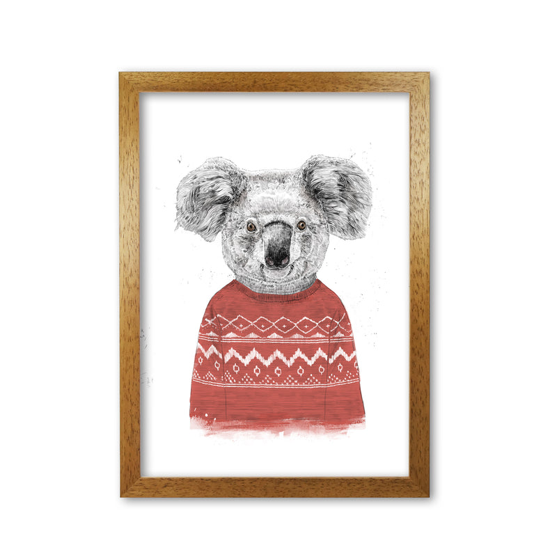 Winter Koala Red Animal Art Print by Balaz Solti Oak Grain