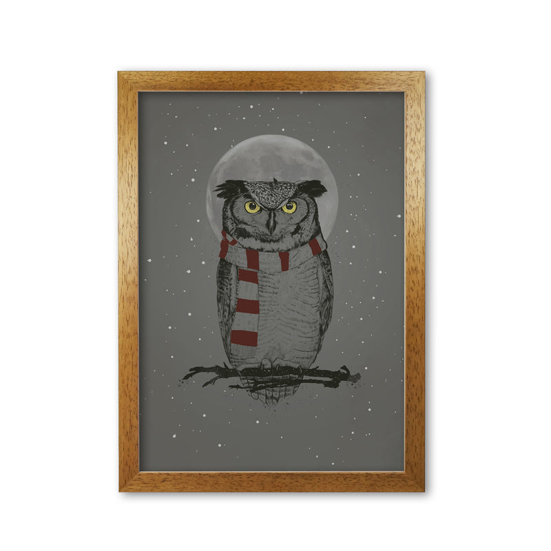 Winter Owl Animal Art Print by Balaz Solti Oak Grain