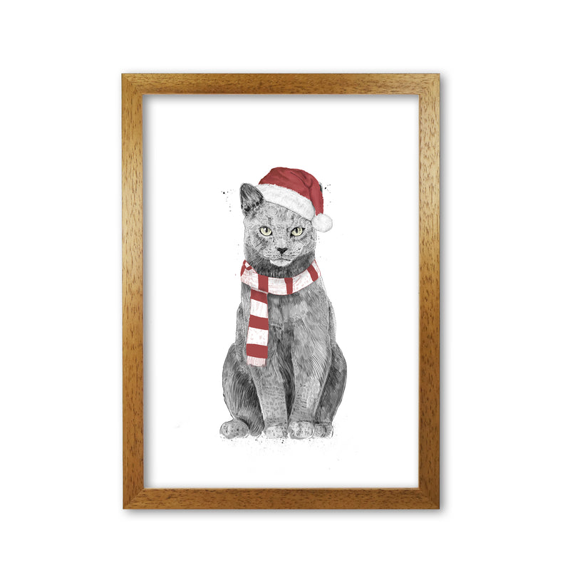 Christmas Cat Animal Art Print by Balaz Solti Oak Grain