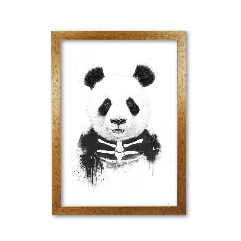 Zombie Panda Animal Art Print by Balaz Solti Oak Grain