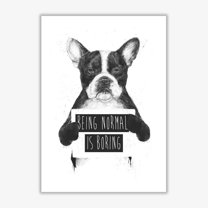 Being Normal Is Boring Animal Art Print by Balaz Solti Print Only