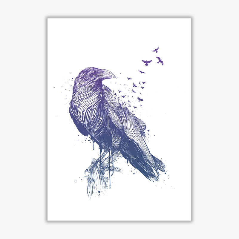 Born To Be Free Raven Animal Art Print by Balaz Solti Print Only