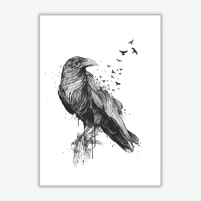 Born To Be Free Raven B&W Animal Art Print by Balaz Solti Print Only