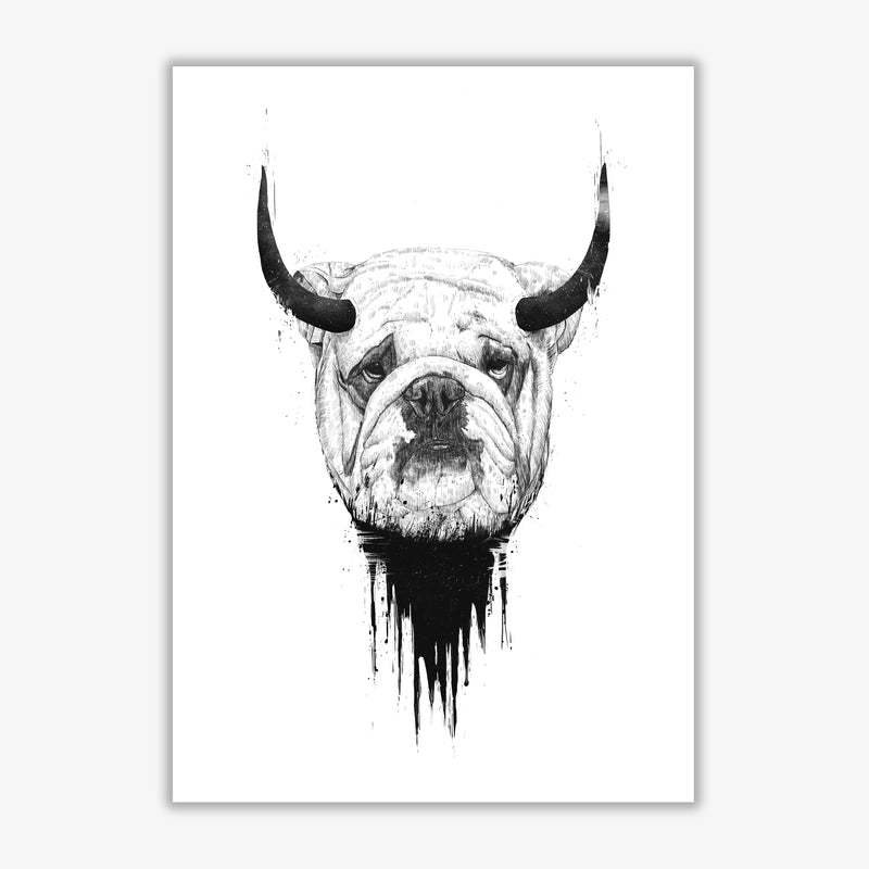 Bulldog Horns Animal Art Print by Balaz Solti Print Only