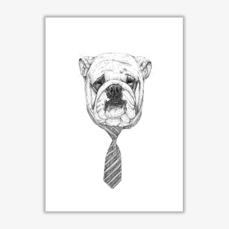 Cool Bulldog Animal Art Print by Balaz Solti Print Only