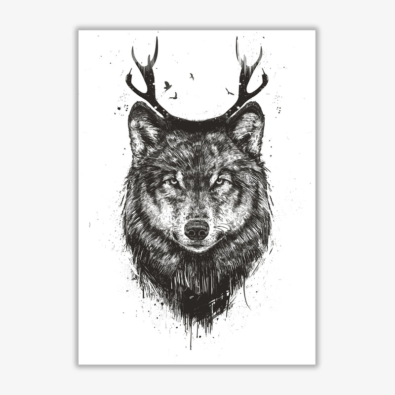 Deer Wolf B&W Animal Art Print by Balaz Solti Print Only
