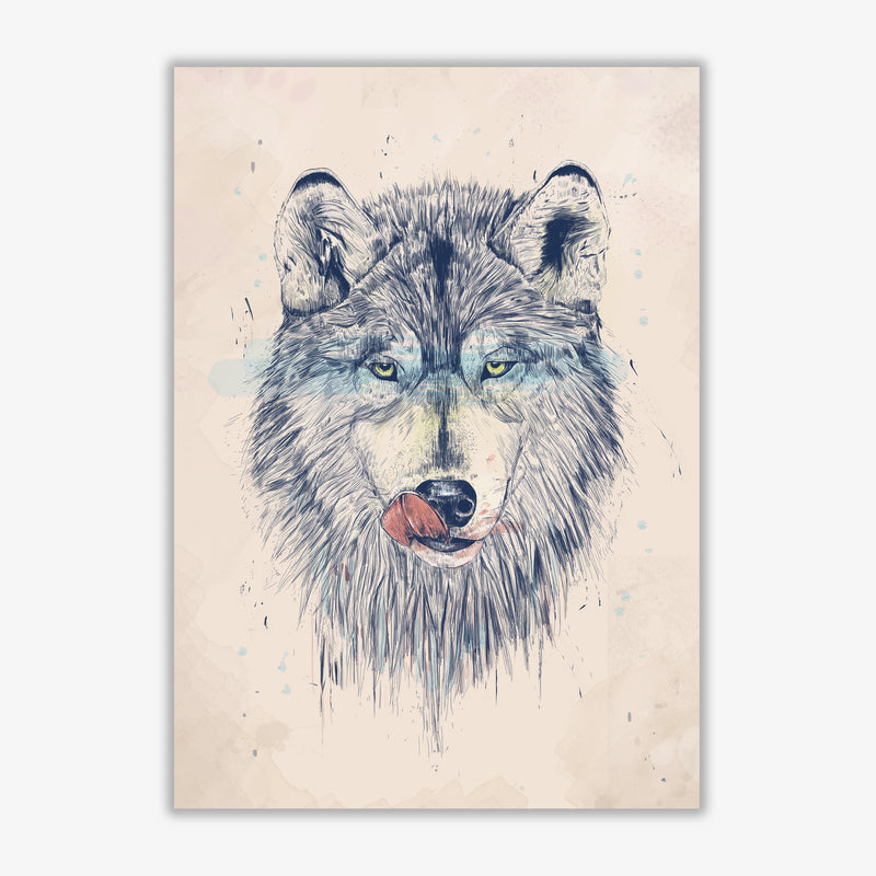 Dinner Time Wolf Animal Art Print by Balaz Solti Print Only
