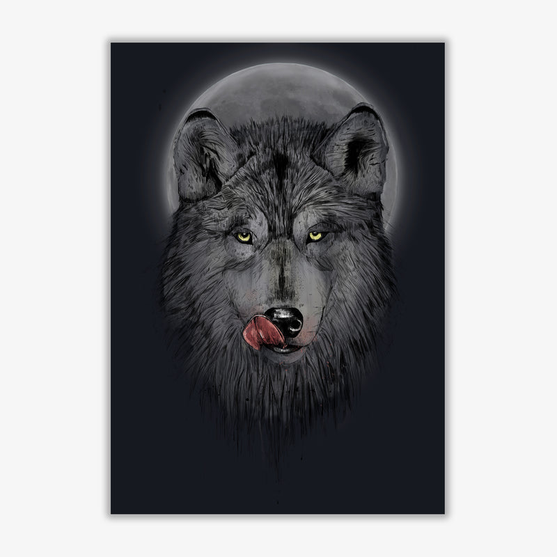 Dinner Time Wolf Night Animal Art Print by Balaz Solti Print Only