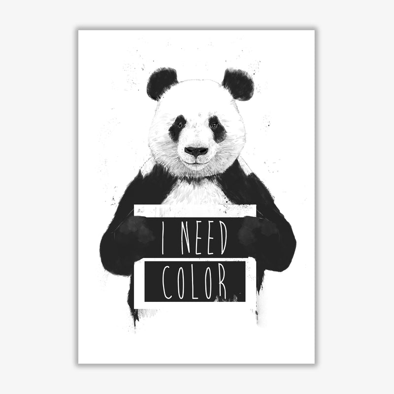 I Need Colour Panda Animal Art Print by Balaz Solti Print Only