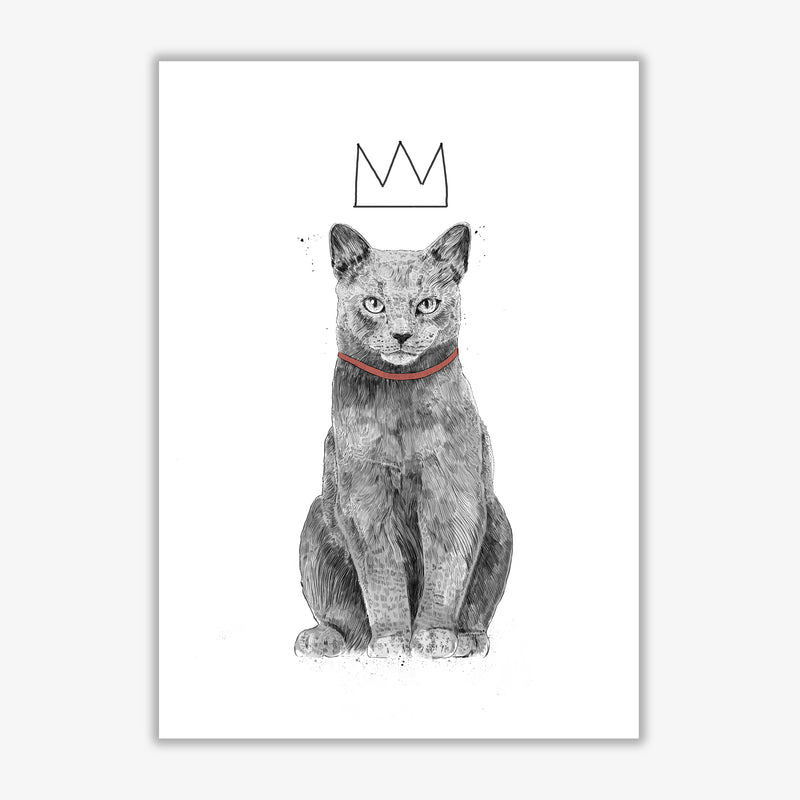King Of Everything Animal Art Print by Balaz Solti Print Only