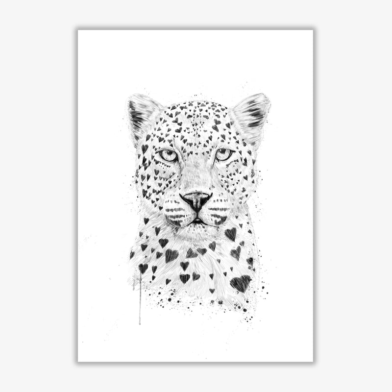 Lovely Leopard Animal Art Print by Balaz Solti Print Only