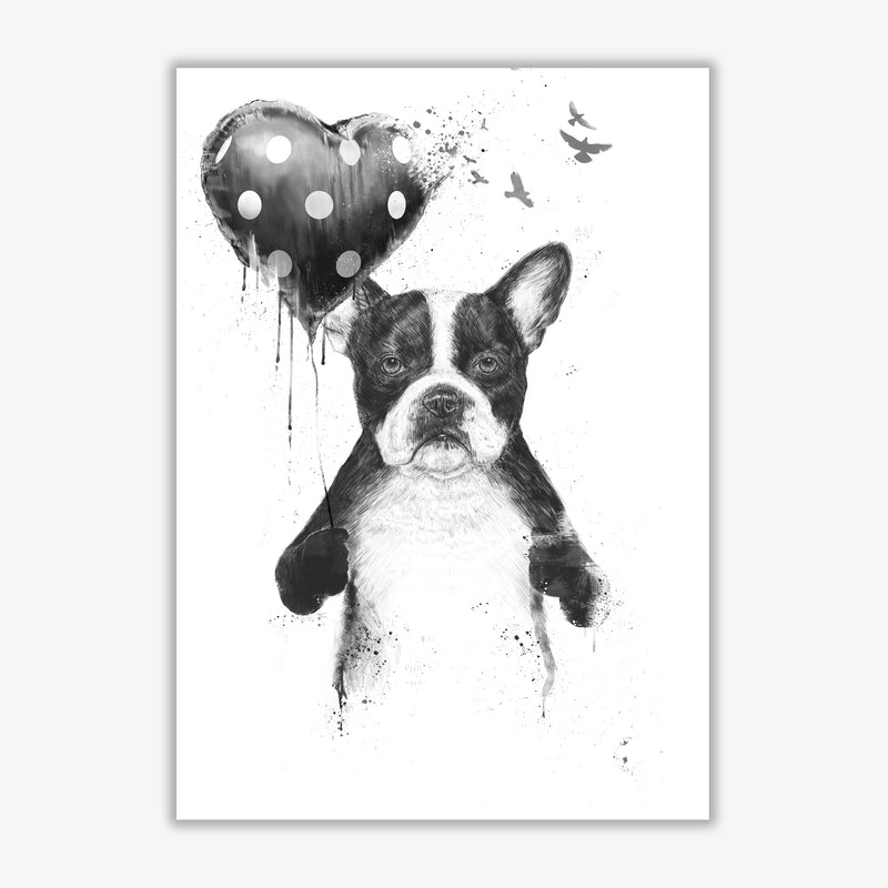 My Heart Goes Boom Bulldog Animal Art Print by Balaz Solti Print Only