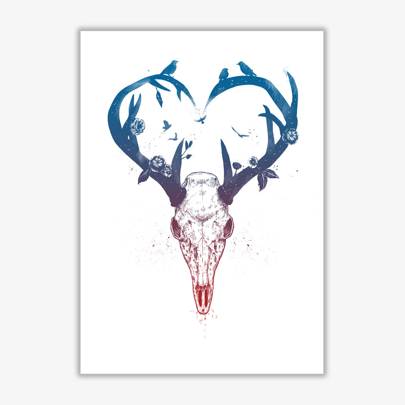 Never-ending Love Deer Skull Animal Art Print by Balaz Solti Print Only