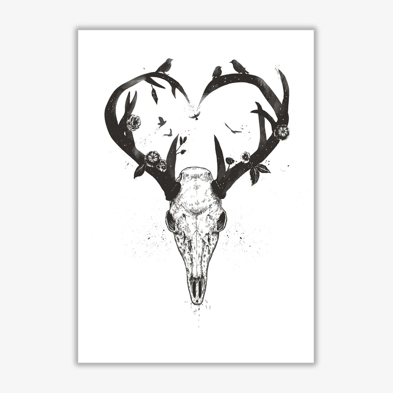 Never-ending Love Deer Skull B&W Animal Art Print by Balaz Solti Print Only