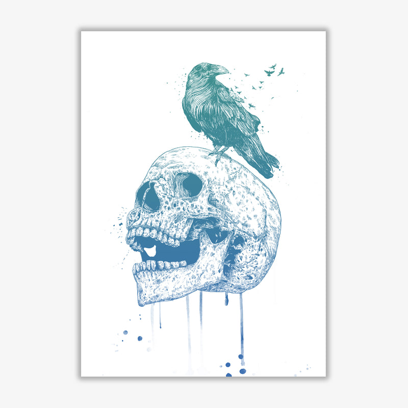 Skull & Raven Colour Animal Art Print by Balaz Solti Print Only