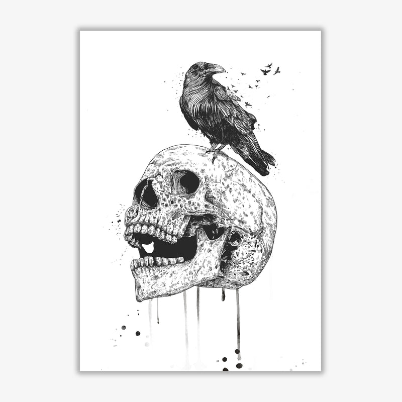 Skull & Raven B&W Animal Art Print by Balaz Solti Print Only