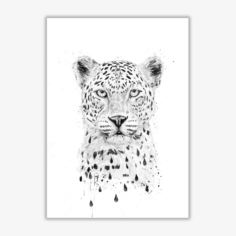 Raining Again Cheetah Animal Art Print by Balaz Solti Print Only