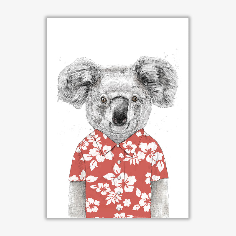 Summer Koala Red Animal Art Print by Balaz Solti Print Only