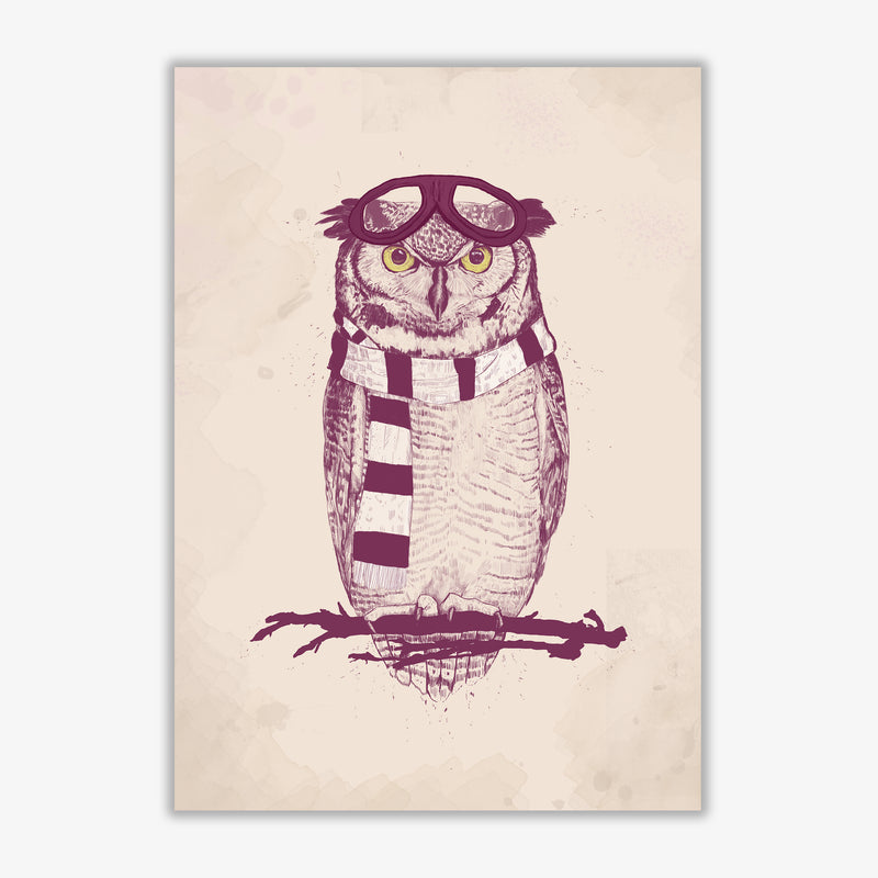 The Aviator Owl Animal Art Print by Balaz Solti Print Only