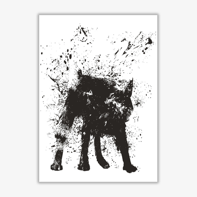 Wet Dog Animal Art Print by Balaz Solti Print Only