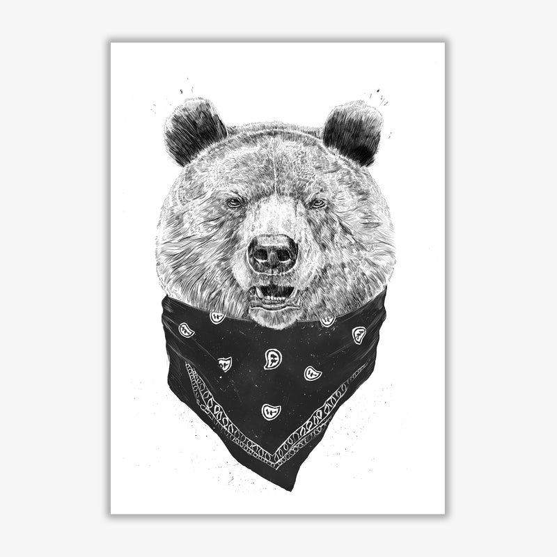 Wild Bear Animal Art Print by Balaz Solti Print Only