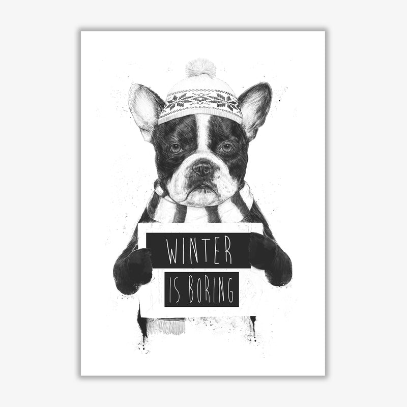 Winter Is Boring Animal Art Print by Balaz Solti Print Only