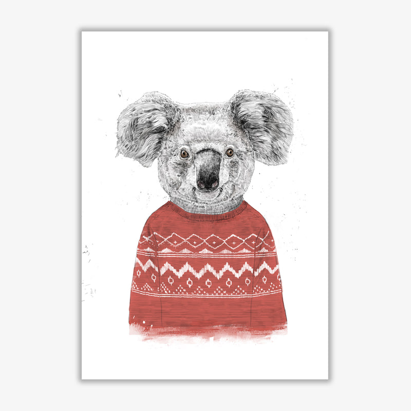 Winter Koala Red Animal Art Print by Balaz Solti Print Only