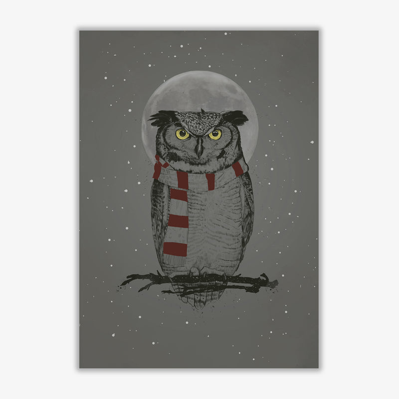 Winter Owl Animal Art Print by Balaz Solti Print Only