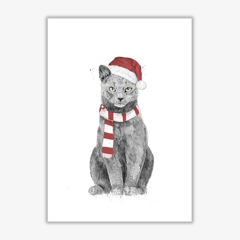 Christmas Cat Animal Art Print by Balaz Solti Print Only