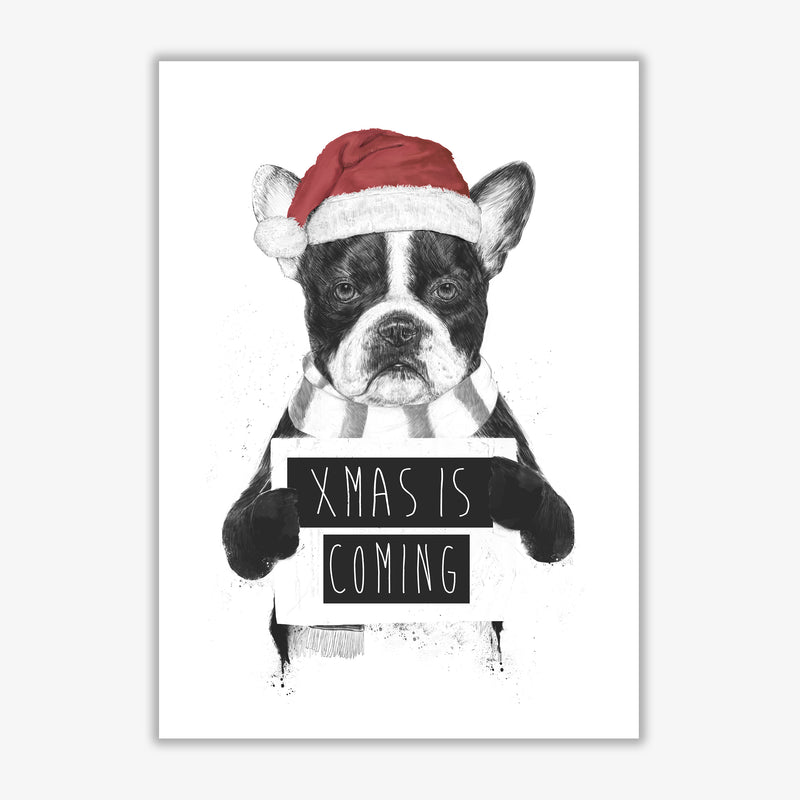 Xmas Is Coming Animal Art Print by Balaz Solti Print Only