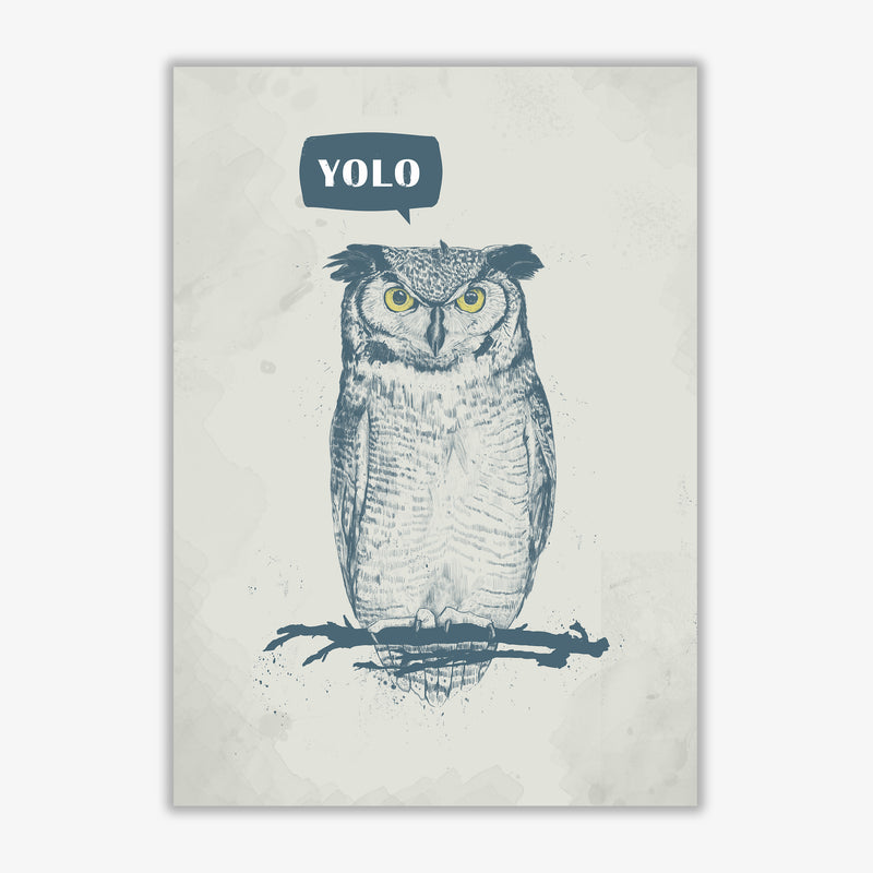 Yolo Owl Animal Art Print by Balaz Solti Print Only