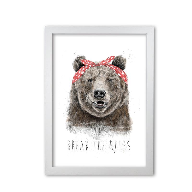Break The Rules Grizzly Animal Art Print by Balaz Solti White Grain