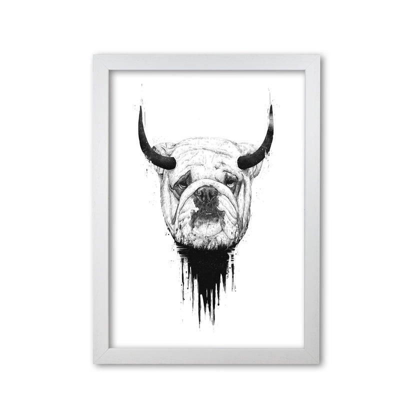Bulldog Horns Animal Art Print by Balaz Solti White Grain