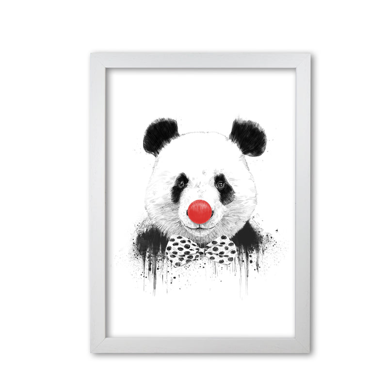 Clown Panda Animal Art Print by Balaz Solti White Grain