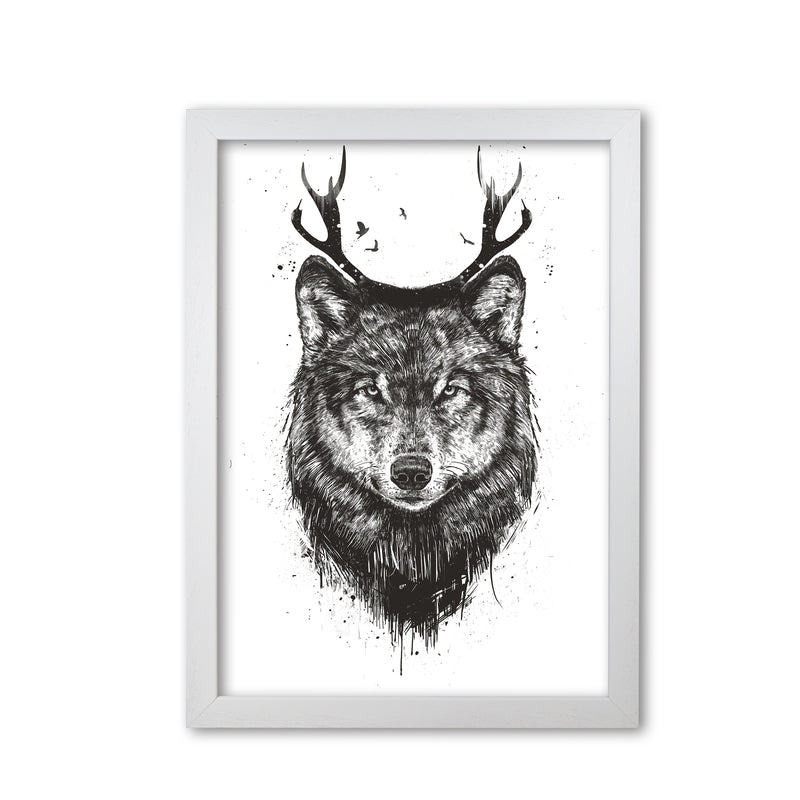 Deer Wolf B&W Animal Art Print by Balaz Solti White Grain