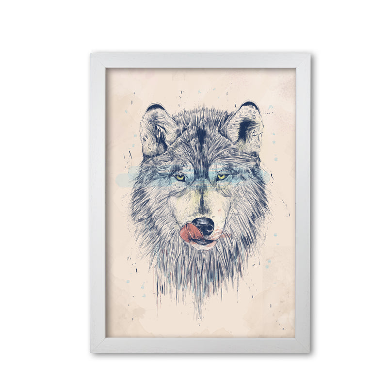 Dinner Time Wolf Animal Art Print by Balaz Solti White Grain