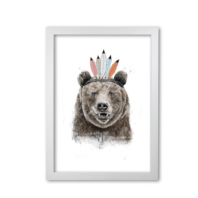 Festival Bear Animal Art Print by Balaz Solti White Grain